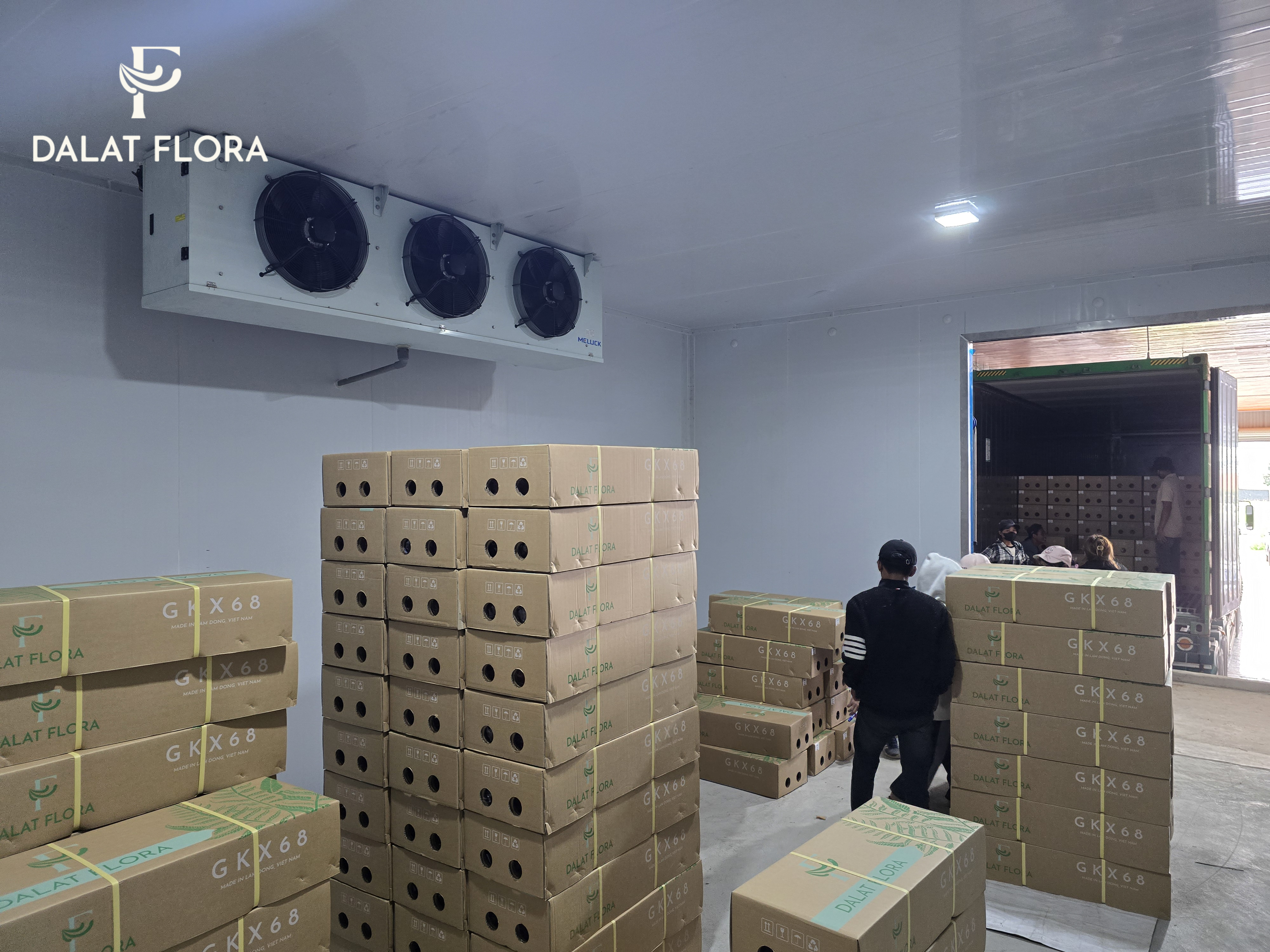 Dalat Flora staff are loading flowers into a refrigerated container for export