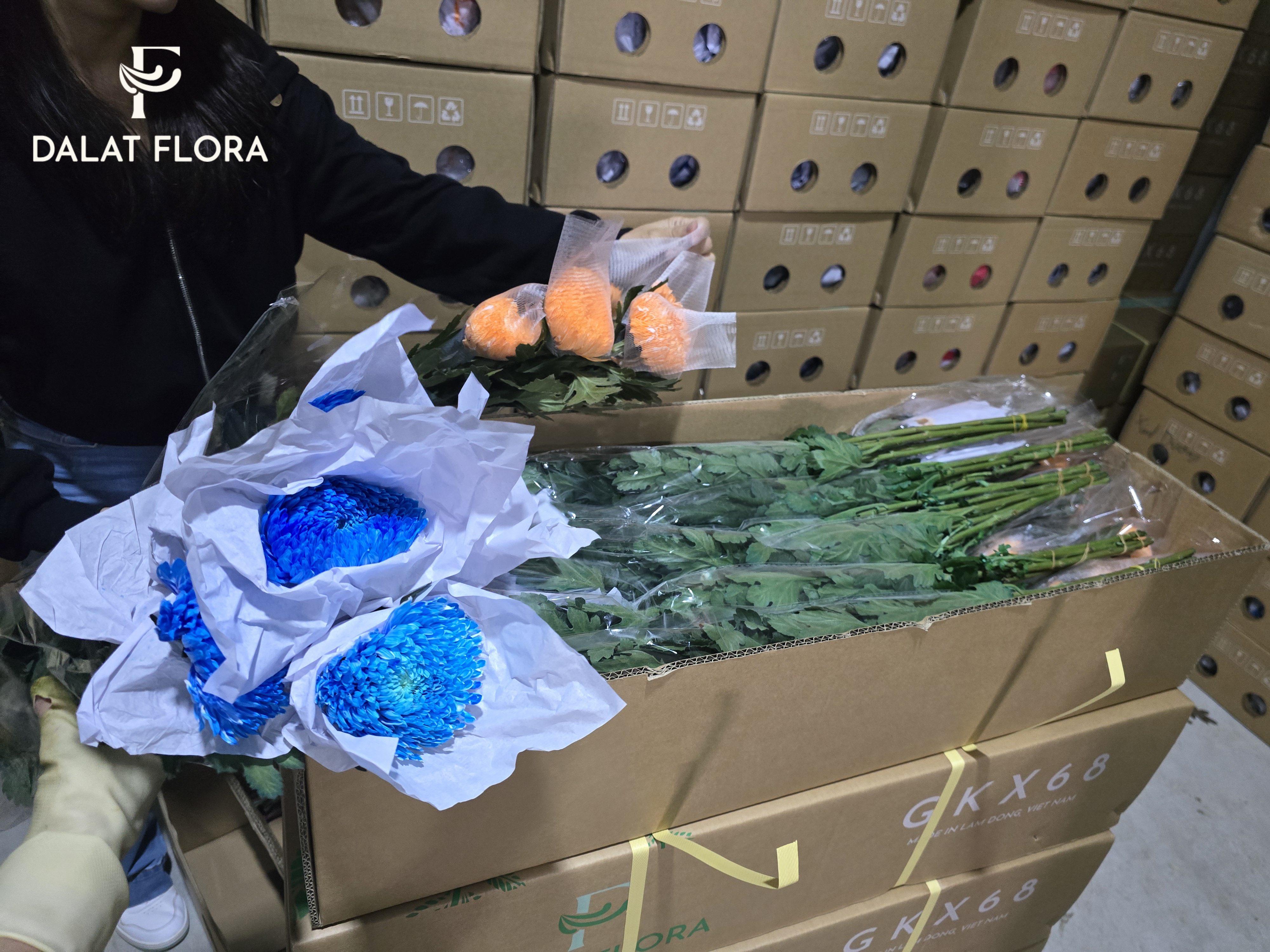 Dalat Flora flower packaging