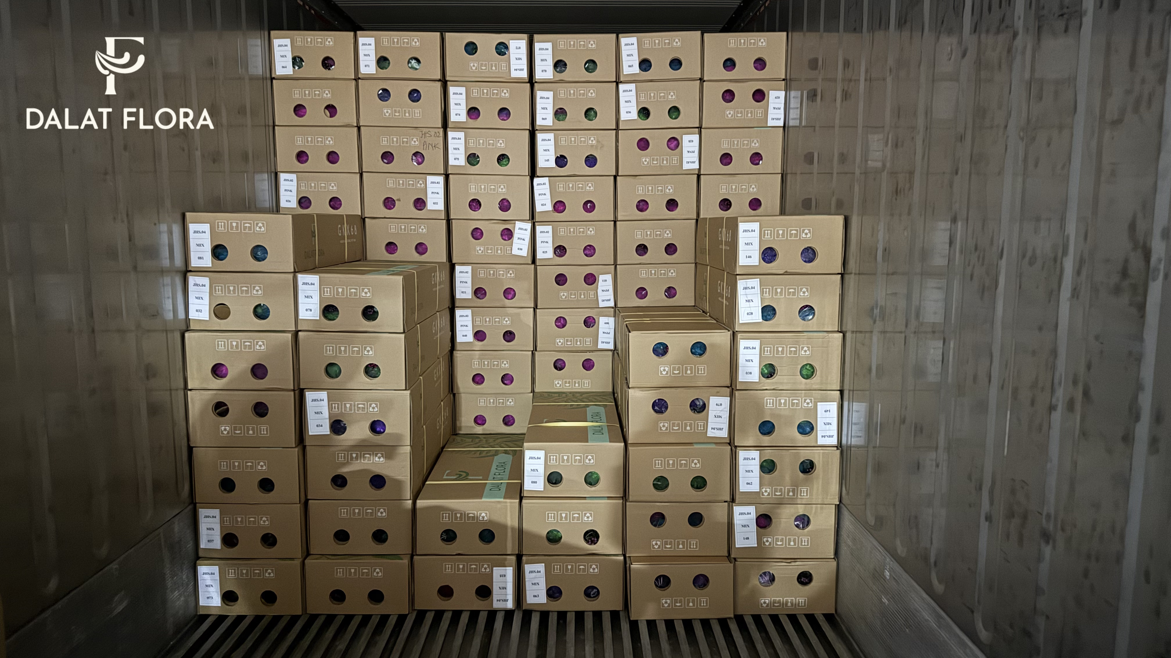 Dalat Flora flower shipment for export