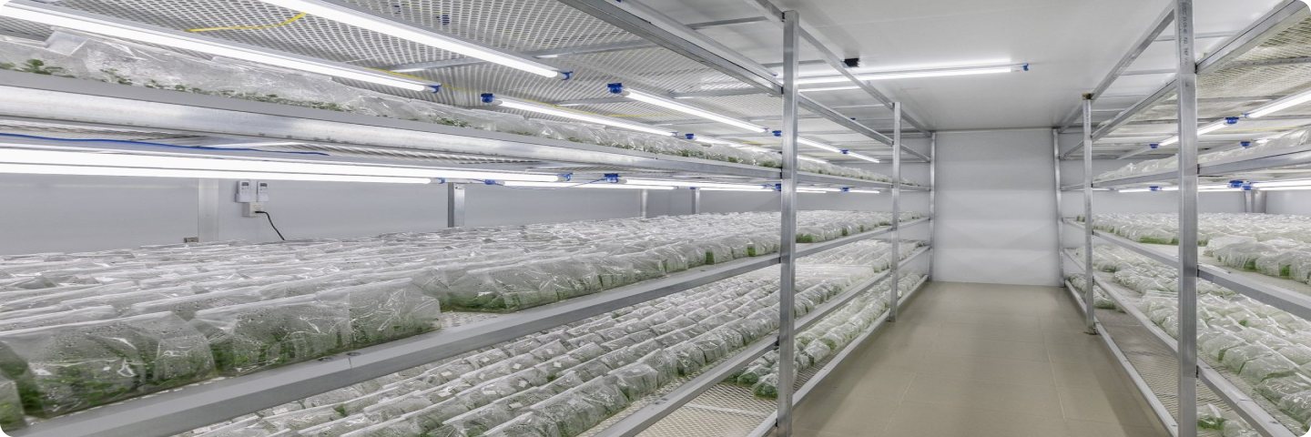 Tissue culture laboratory at Dalat Flora
