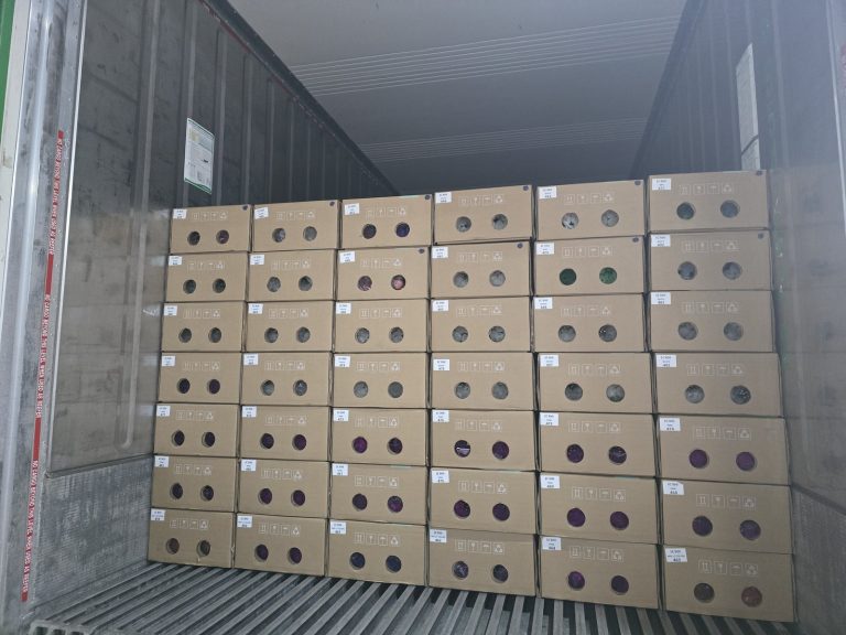 Harvest Season Update — Lam Dong