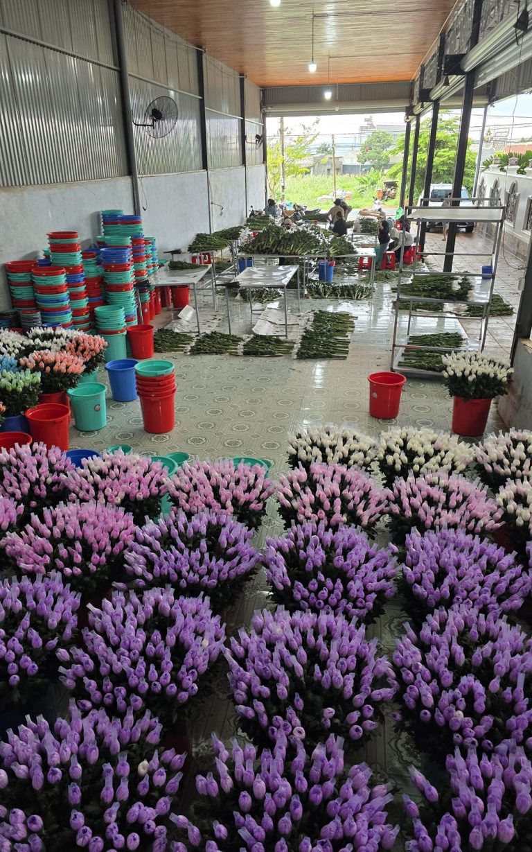 Export Season: Cold Chain Best Practices