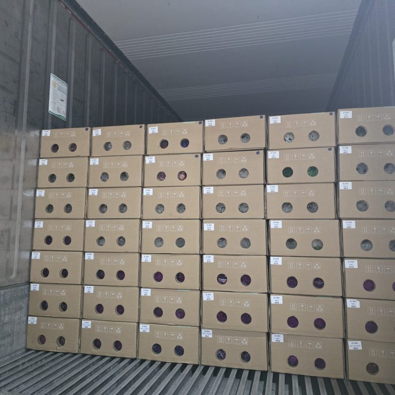 Dalat Flora Expands Cold-Chain Capacity for Japan Market
